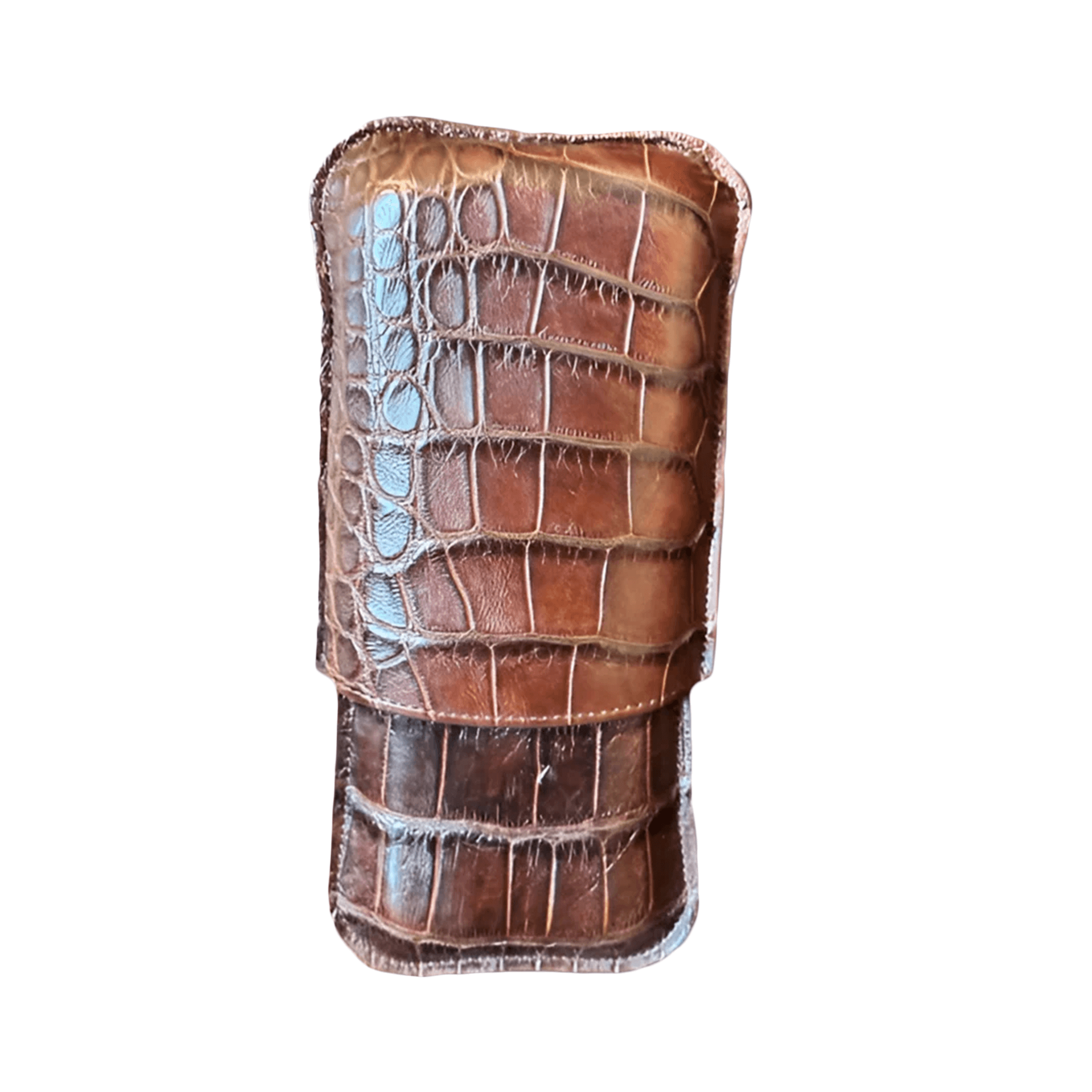 Cigar Case