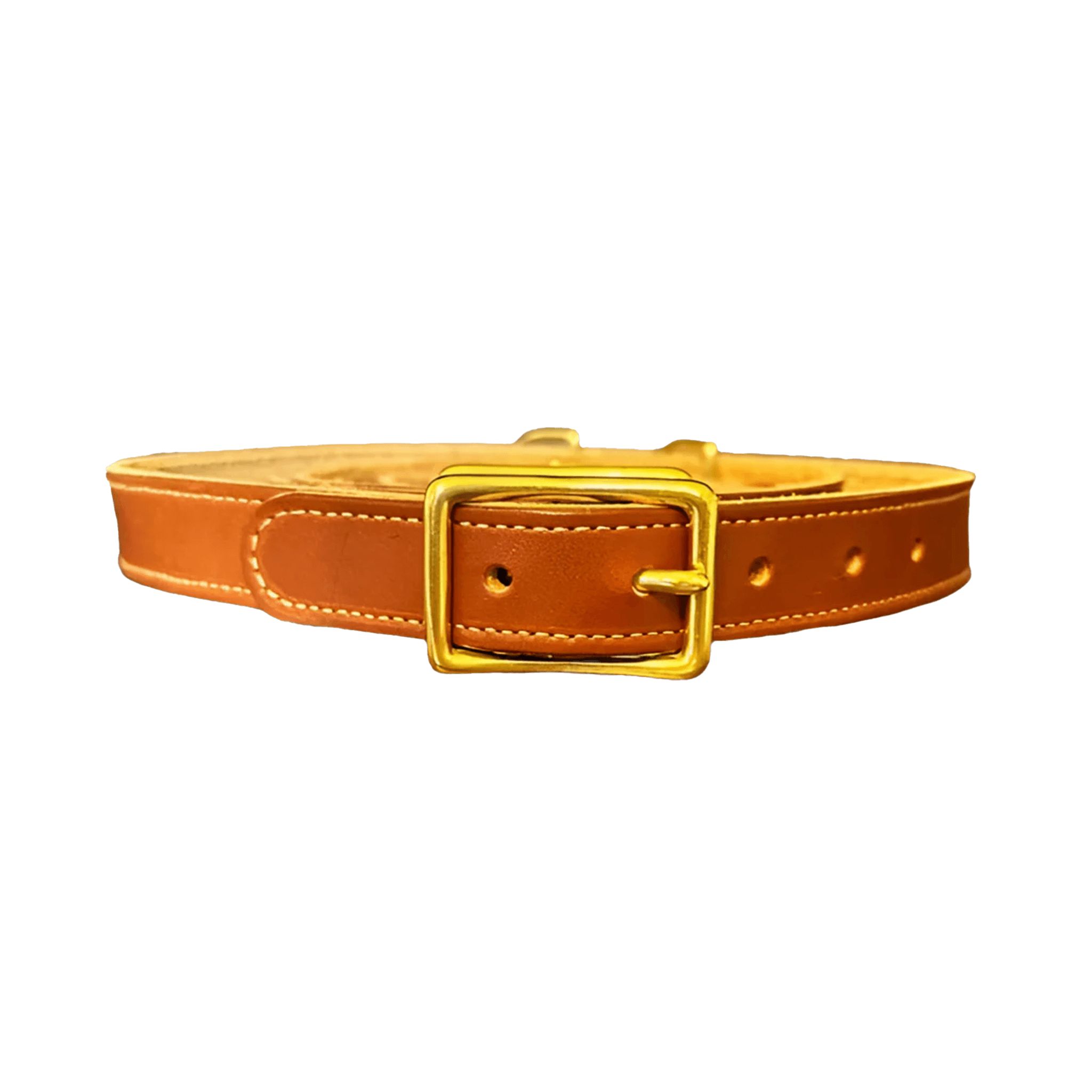 Lagrange Leather Dog Collar