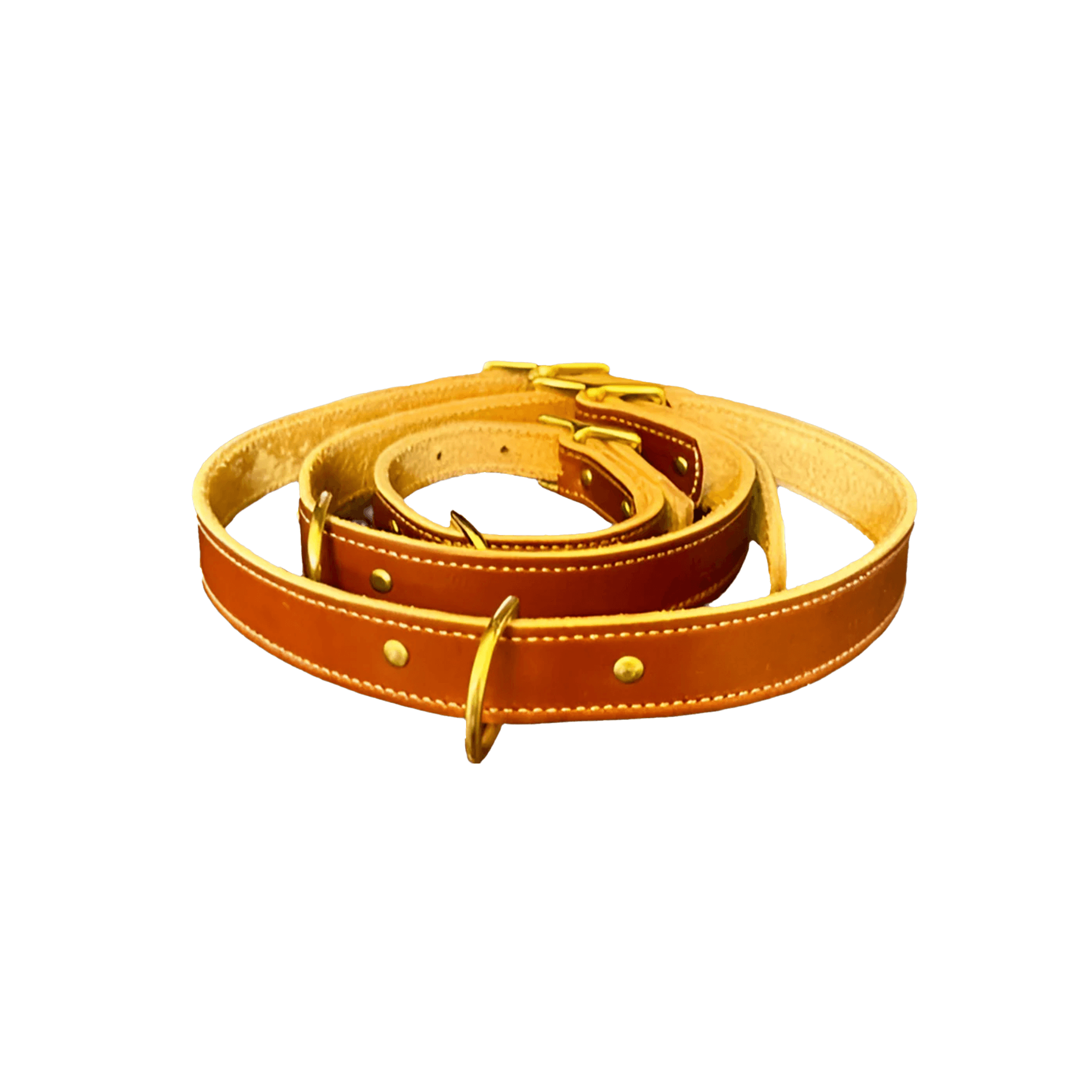 Lagrange Leather Dog Collar